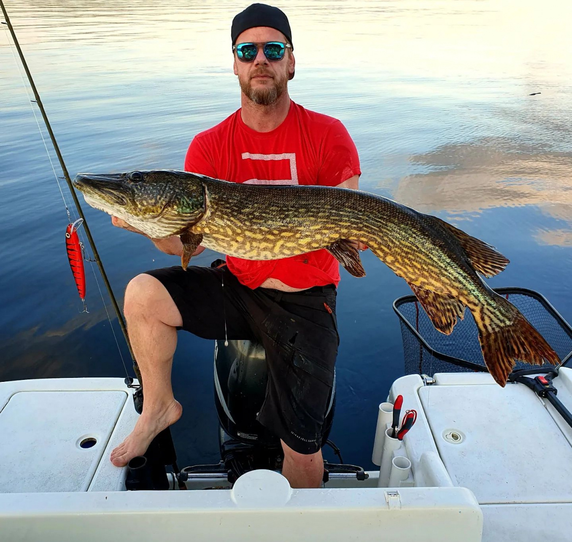 Gnarly Baits Twitch 25 cm